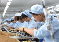 电子厂现在想要招年轻工人，必须要满足这些条件